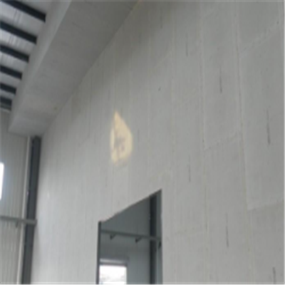 陆川宁波ALC板|EPS加气板隔墙与混凝土整浇联接的实验研讨